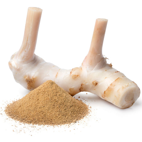 Galangal Powder