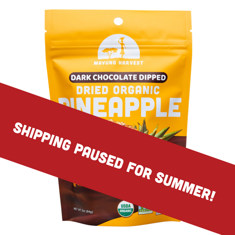 Organic Dried Pineapple Dipped in Dark Chocolate