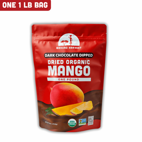 Organic Dried Mango Dipped in Dark Chocolate