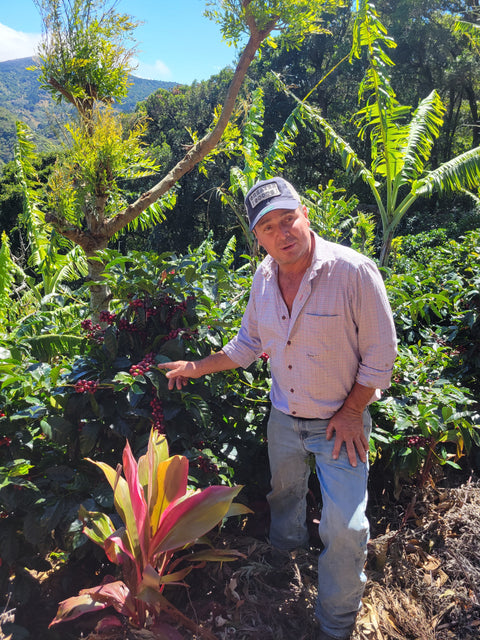 Take Me Home - Costa Rica