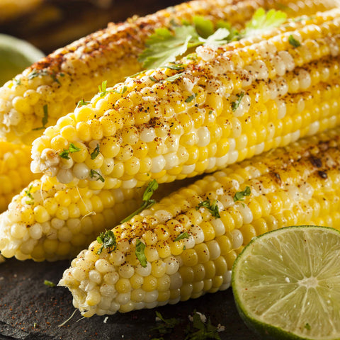 Mexican Street Corn Seasoning