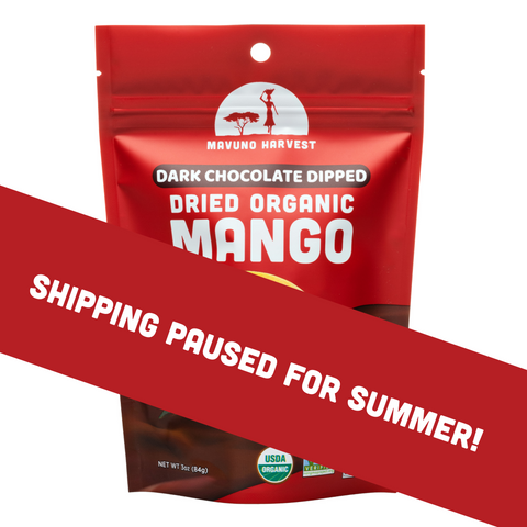 Organic Dried Mango Dipped in Dark Chocolate