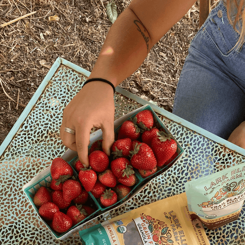 Vanilla Cinnamon Sprouted Granola