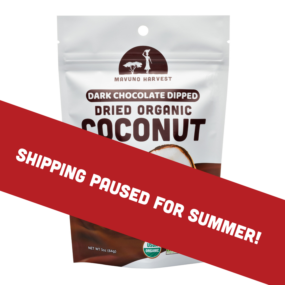 Organic Dried Coconut Dipped in Dark Chocolate