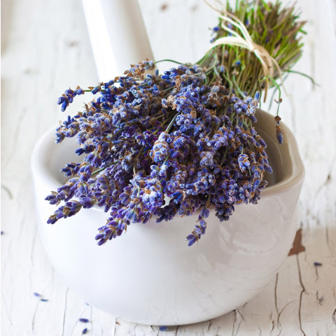 Lavender Flowers "Super Blue” (Whole)