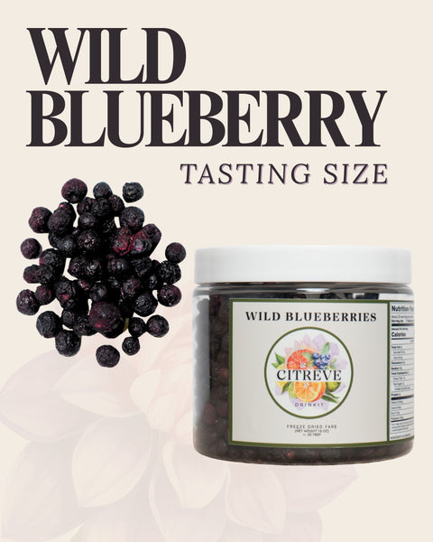 Tasting Size - Freeze-Dried Wild Blueberries