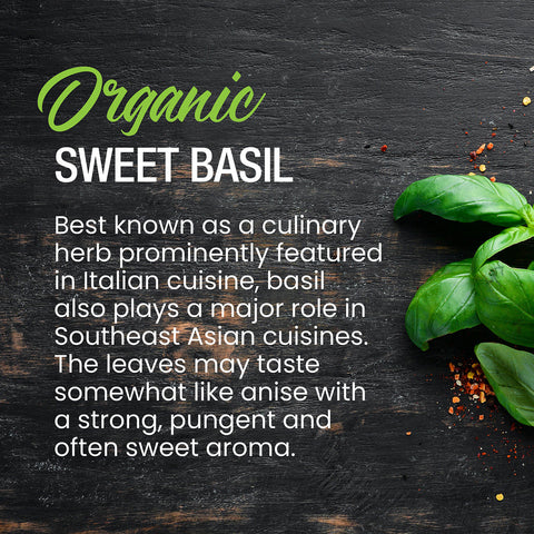 Organic Sweet Basil