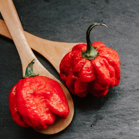 Ghost Pepper Salt (Naga Jolokia) – XXX Extra Hot