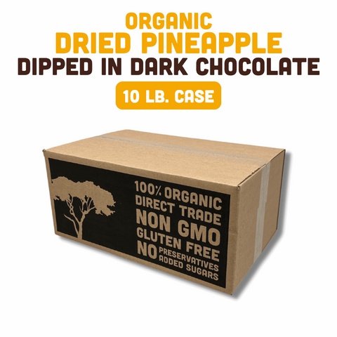 Organic Dried Pineapple Dipped in Dark Chocolate