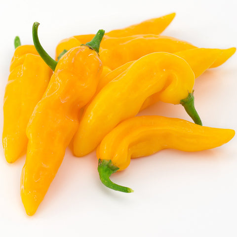 Aji Amarillo Chili Powder