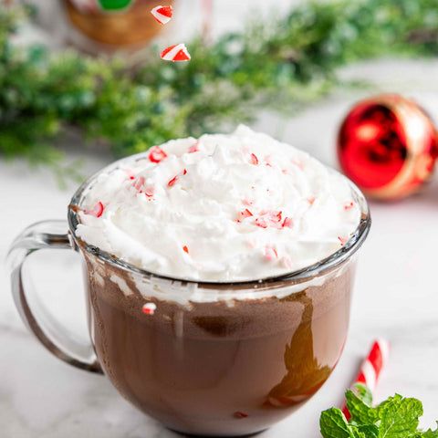 Instant Dairy Free Peppermint Hot Cocoa Mix  | Single Serving 10 Pack |Gluten Free, Vegan and Organic