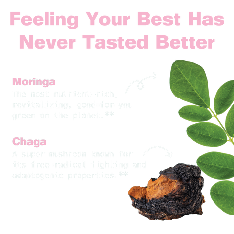 Moringa & Chaga Mushroom Superfood Gummies