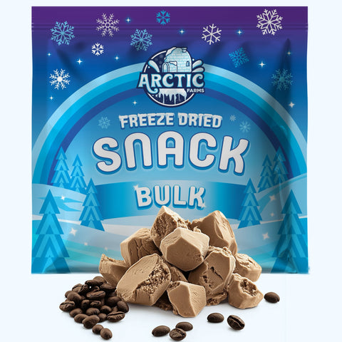 PREMIUM Freeze Dried Ice Cream * Only 5 Ingredients * Vanilla