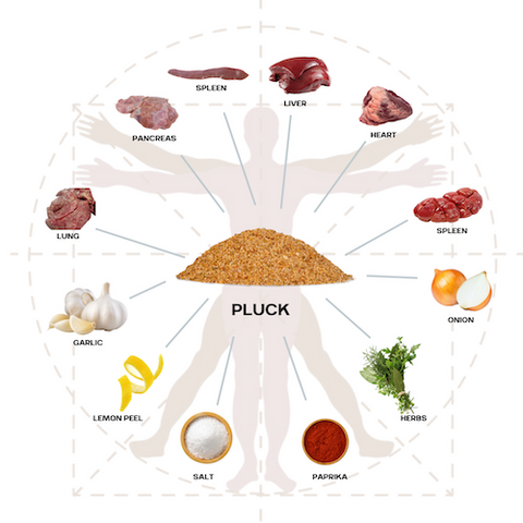 Pluck Original – Animal-Based Superfood Seasoning