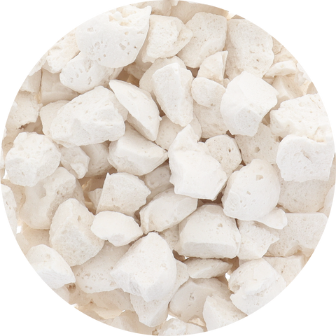 Freeze Dried Sorbet - Organic Coconut