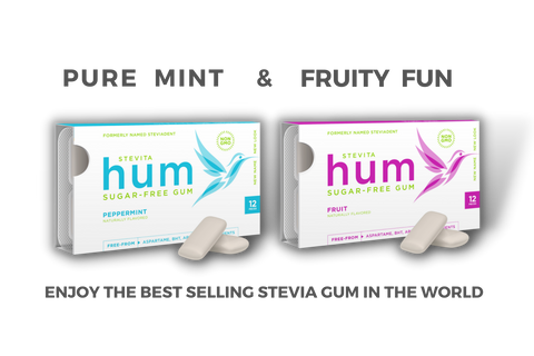 HUM GUM ~ Favorite Flavor Lot ~ 1-Peppermint & 1-Fruit