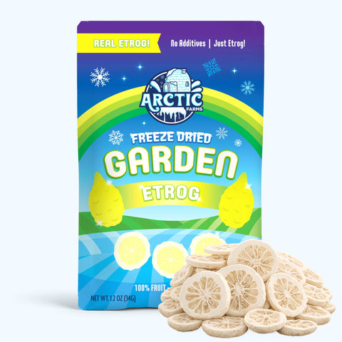 Freeze Dried Etrog Slices