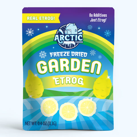 Freeze Dried Etrog Slices