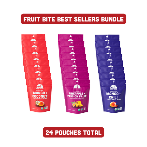 Fruit Bite Best Sellers Bundle - 24 bags