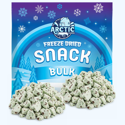 Freeze Dried Gelato - Mint Chocolate Chip
