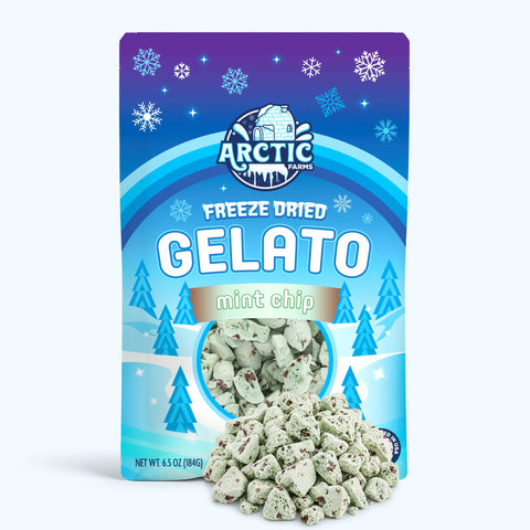 Freeze Dried Gelato - Mint Chocolate Chip
