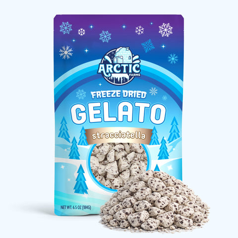 Freeze Dried Gelato - Stracciatella (Italian Chocolate Chip)