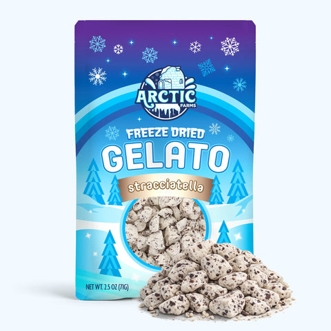 Freeze Dried Gelato - Stracciatella (Italian Chocolate Chip)