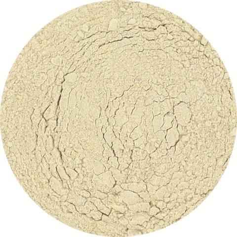 Freeze Dried Ginger Powder