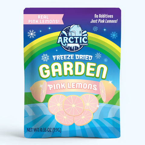 Freeze Dried Pink Lemon Slices