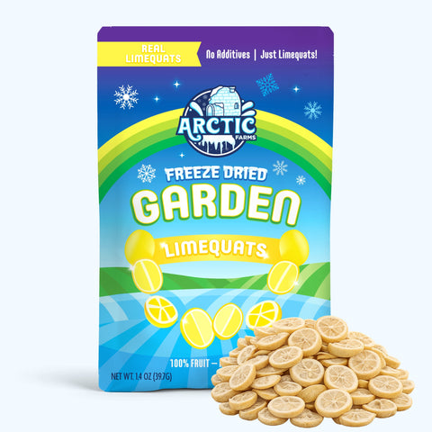 Freeze Dried Limequats