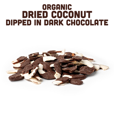 Organic Dried Coconut Dipped in Dark Chocolate