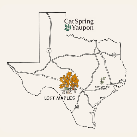 Case of Lost Maples Medium Roast Yaupon – Bold & Complex  –  Loose Leaf & Tea bags