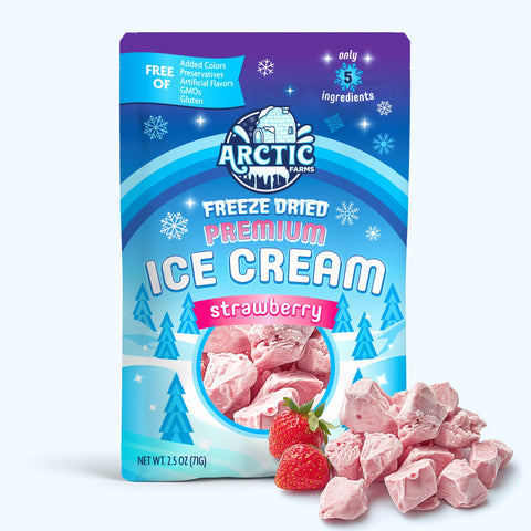 PREMIUM Freeze Dried Ice Cream * Only 5 Ingredients * Chocolate