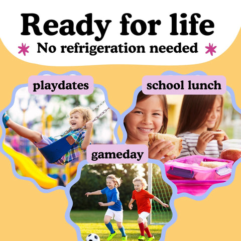 Chocolate Chip Cookie Organic Whole Milk Boxes, 12-pack