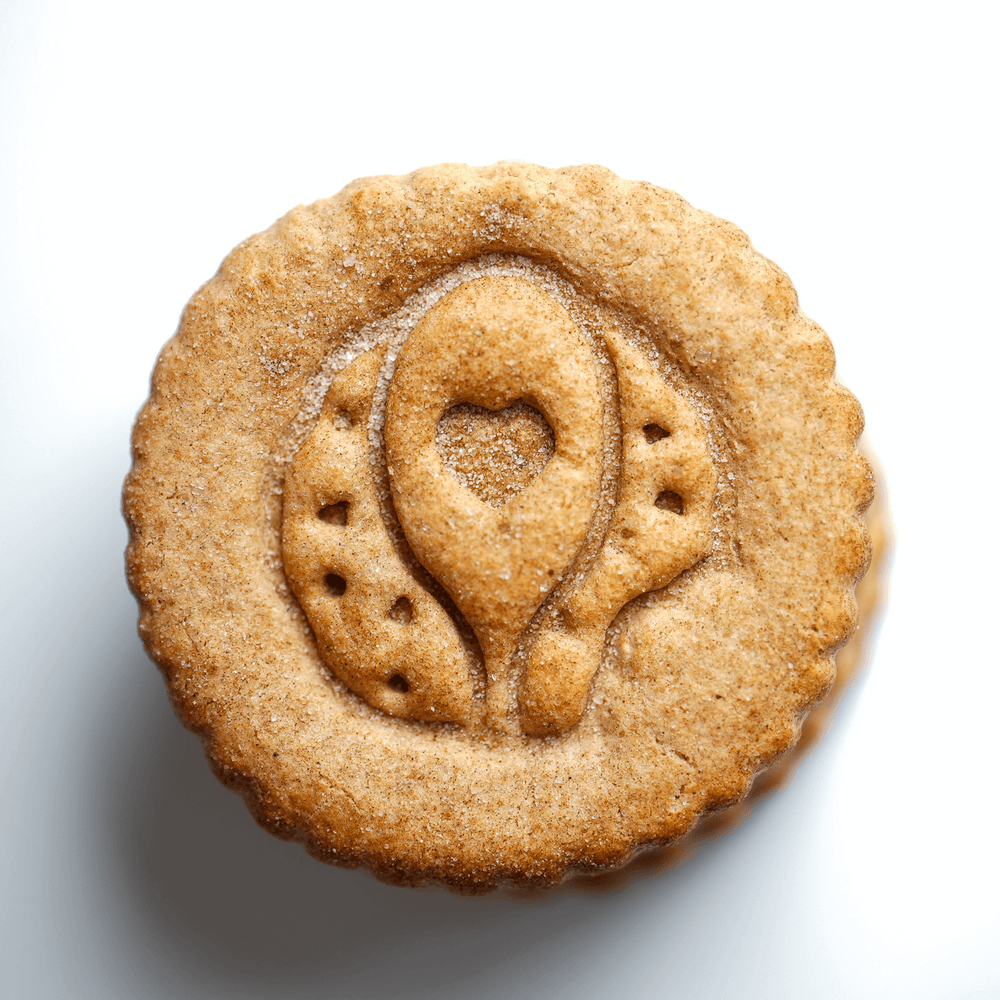 Snickerdoodle Protein Cookie