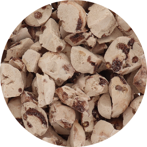 Freeze Dried Gelato - Piemonte Hazelnut Chocolate Crunch