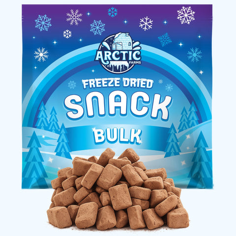 Freeze Dried Premium Organic Dark Chocolate