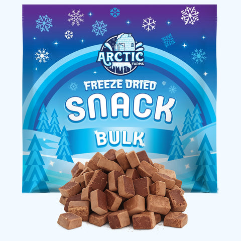 Freeze Dried Premium Organic Semi-Sweet Chocolate