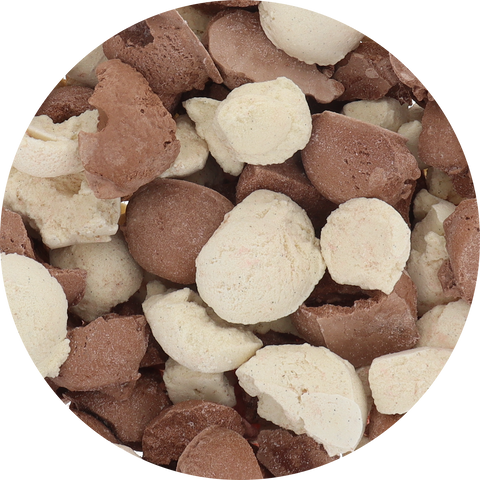 Freeze‑Dried Protein Ice Cream (Zero Added Sugar) — Vanilla Chocolate Mix