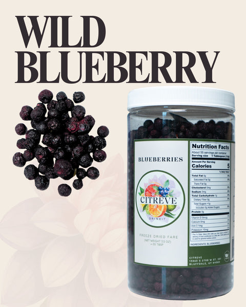Freeze-Dried Wild Blueberries