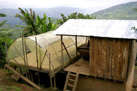 Bright Minds - Colombia