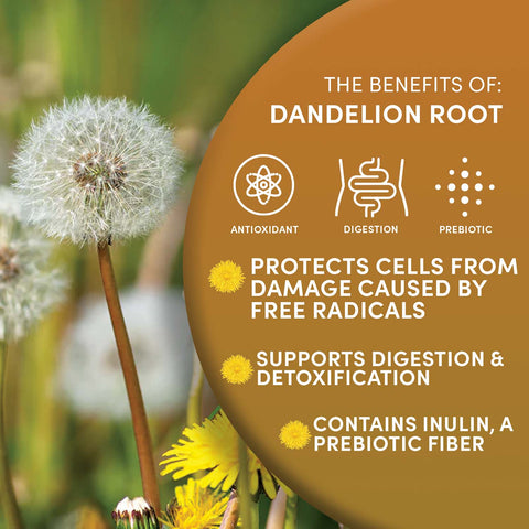 Instant Dandelion Herbal Coffee