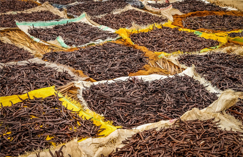 Indian Vanilla Beans - Whole Grade A Vanilla Pods for Vanilla Extract and Baking
