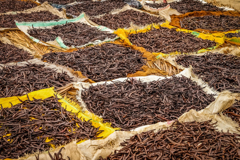 Papua New Guinea Vanilla Beans - Grade A Whole Pods