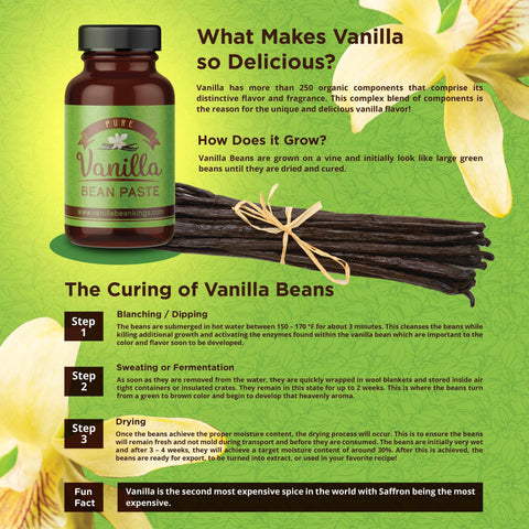 Gourmet Madagascar Vanilla Bean Paste - With Real Vanilla Seeds