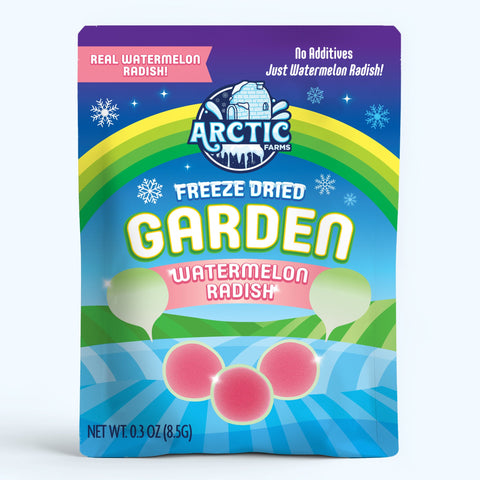 Freeze Dried Watermelon Radish Chips