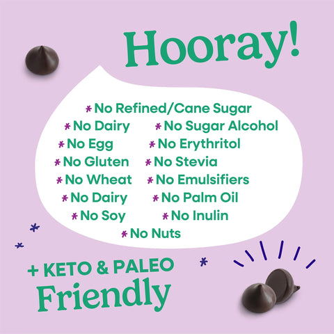 NEW! 70% Cacao Organic Bitter-Sweet Dark Chocolate Chips with Coconut Sugar (8 Bags)