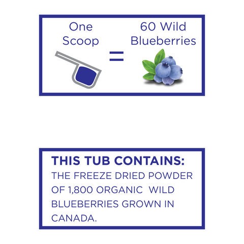 Organic Wild Blueberry Powder