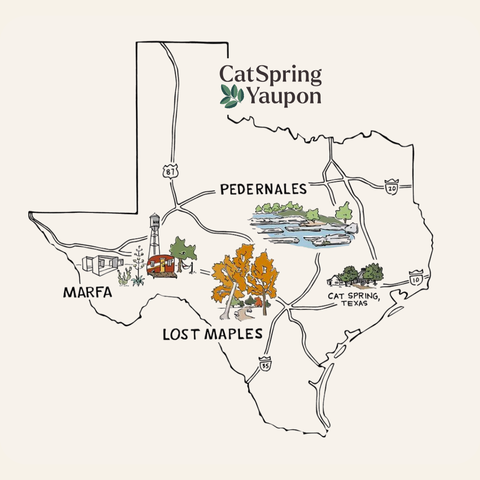 Multipack Yaupon Tea - 3 boxes of Yaupon Tea Bags (48 Count)