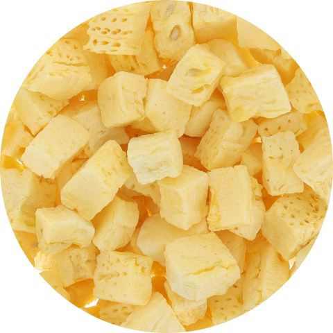 Freeze Dried Yellow Watermelon
